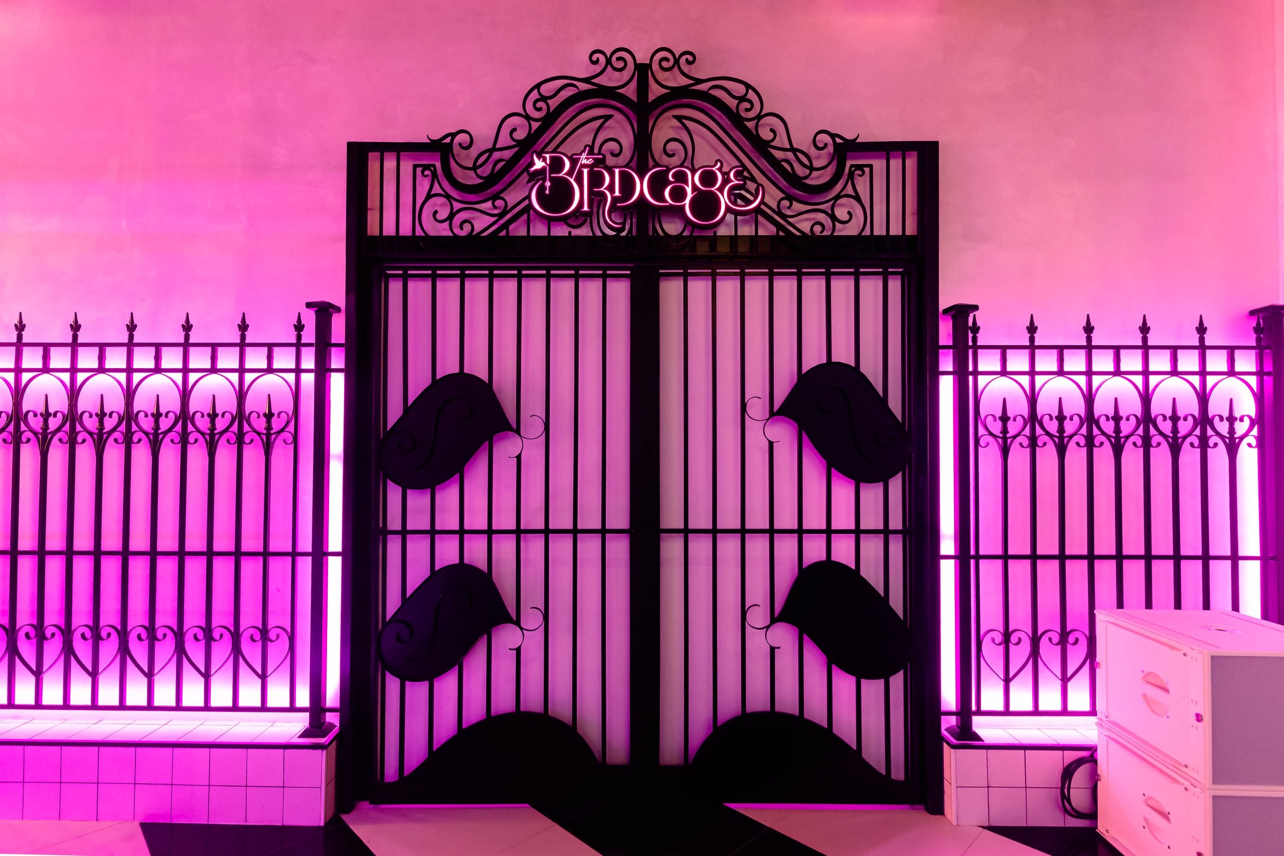 BirdCage